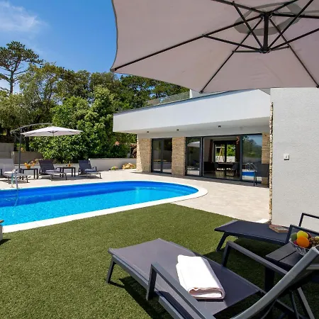 Pinnidae By Interhome