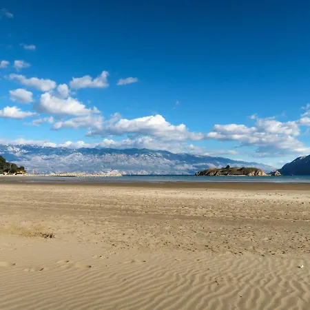 Pinnidae By Interhome