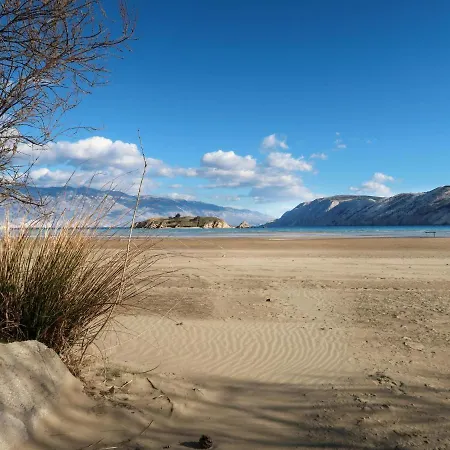 Pinnidae By Interhome