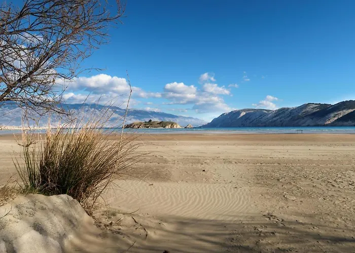 Pinnidae By Interhome