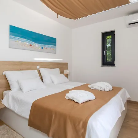 Pinnidae By Interhome