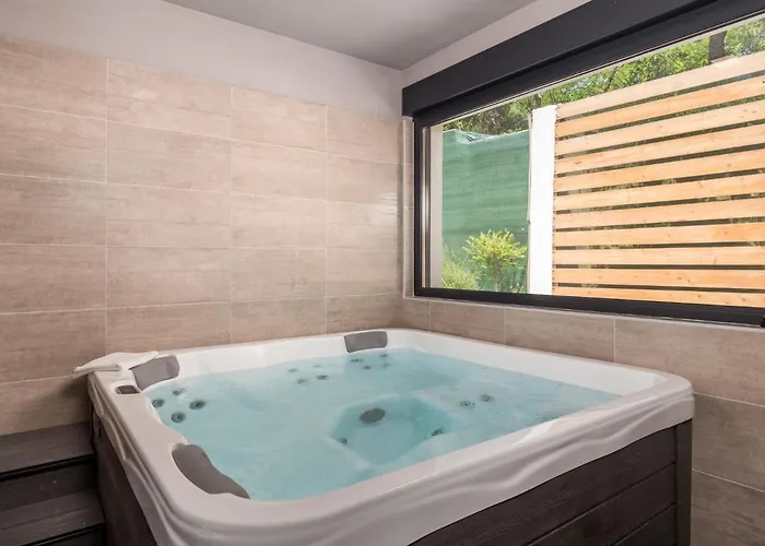 Pinnidae By Interhome Willa *